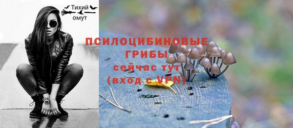 бутират Мегион