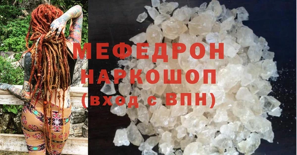 шишки Медвежьегорск