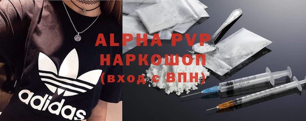 СК Медногорск