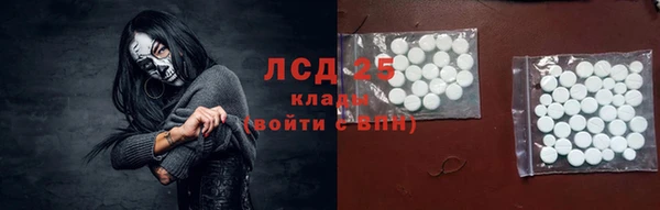 шишки Медвежьегорск