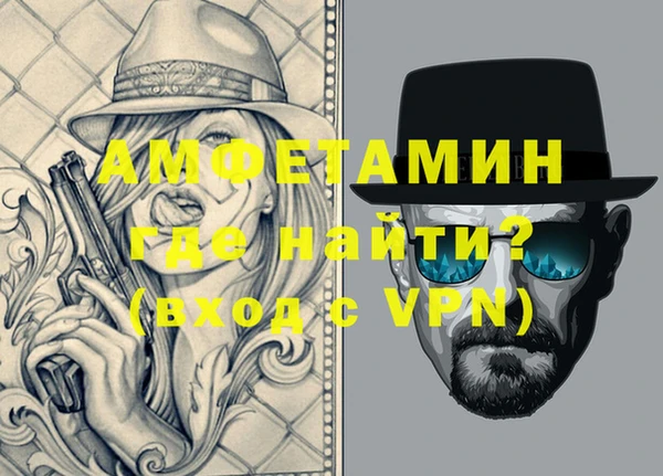шишки Медвежьегорск