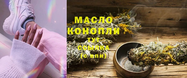 шишки Медвежьегорск