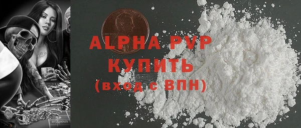 шишки Медвежьегорск