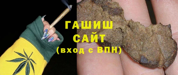 шишки Медвежьегорск