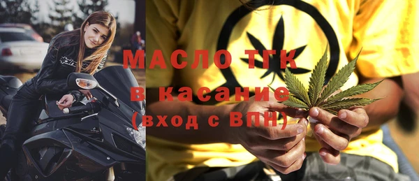 шишки Медвежьегорск