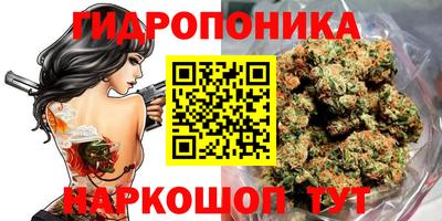 мдпв Канаш