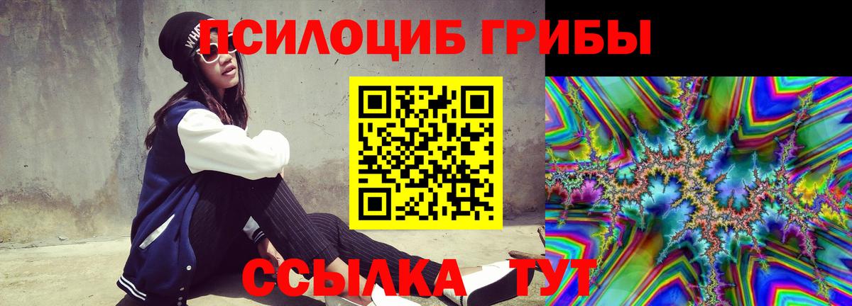 Псилоцибиновые грибы Psilocybine cubensis Ухта