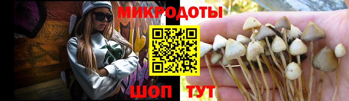 Ухта  закладка  Вход с VPN  Псилоцибиновые грибы мухоморы  Псилоцибиновые грибы мицелий 